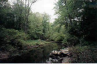 Patterson Environmental Park